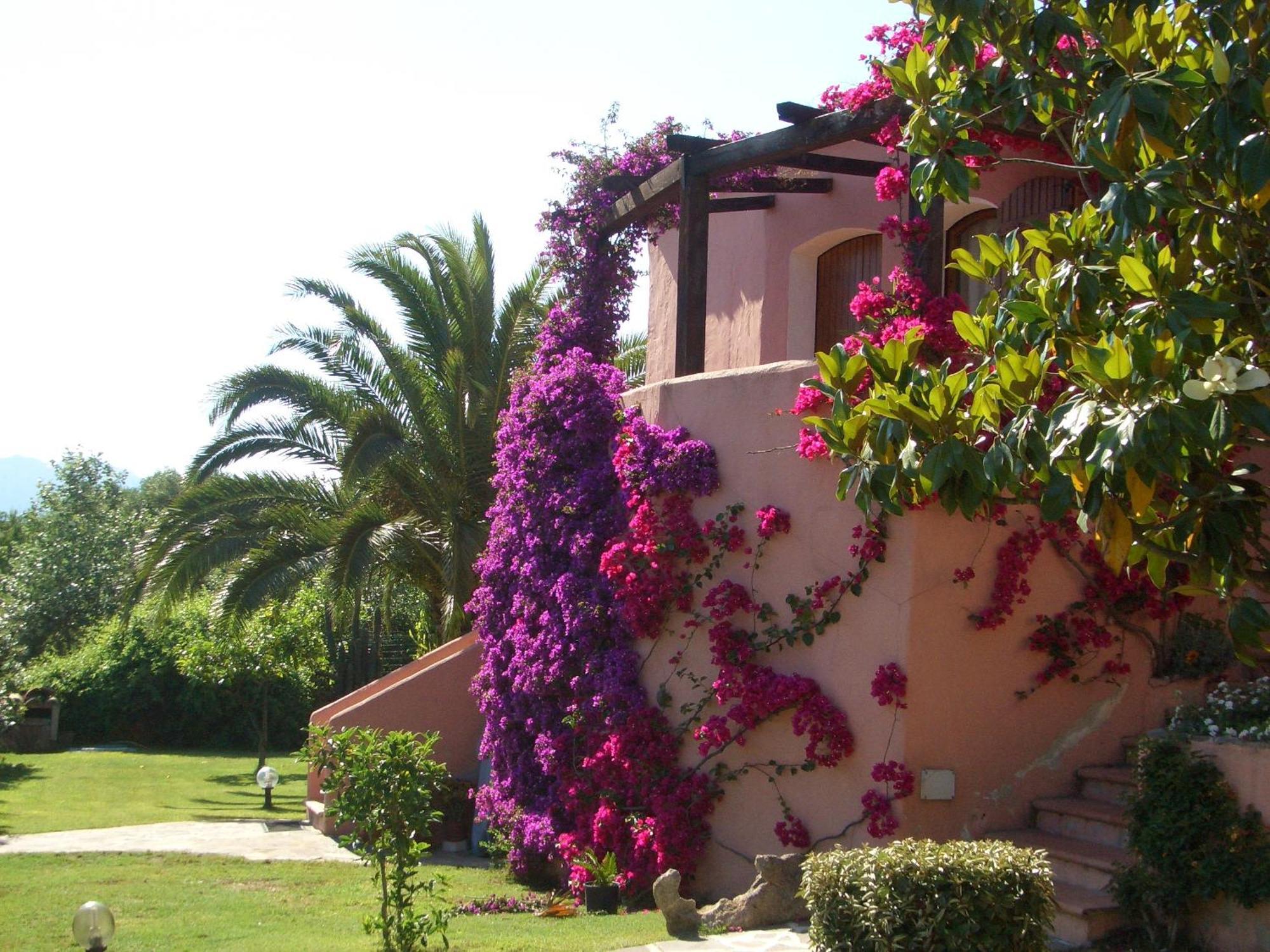 Bed & Breakfast Dessole Olbia Exterior photo